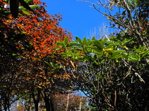 DSCN9384