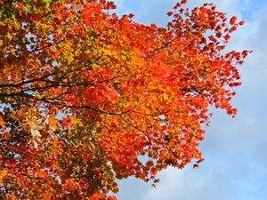 DSCN0576