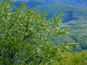DSCN9645