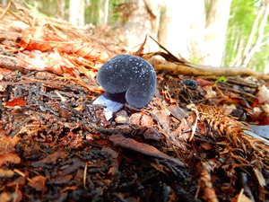 DSCN0268