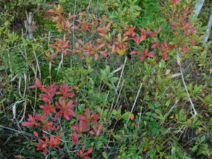 DSCN0022