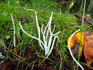 P9231159