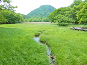 DSCN9388
