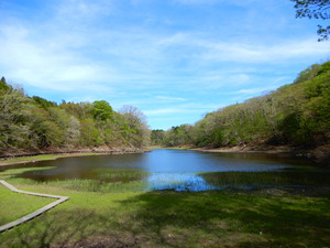 DSCN3942