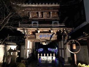 IMG_5394