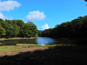DSCN9758