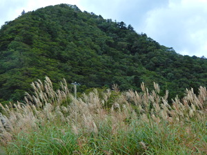 DSCN9711