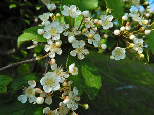 DSCN0235