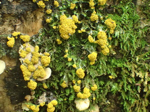 P8224168