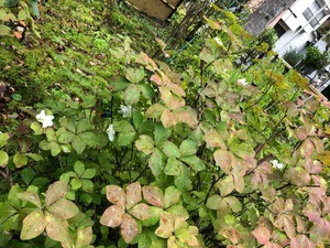 IMG_9838