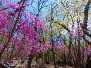 DSCN0152