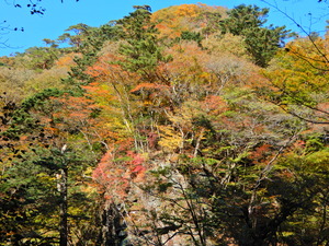 DSCN0166