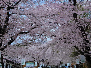 DSCN9763
