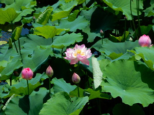 DSCN0896