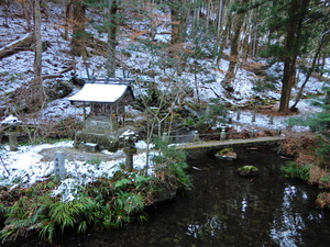 DSCN0333