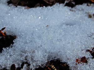 DSCN9875
