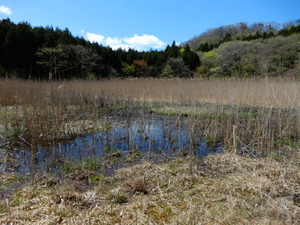 DSCN9985