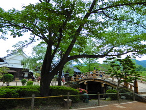 DSCN9764