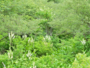 DSCN0226