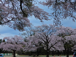 DSCN9775