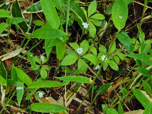 DSCN9634