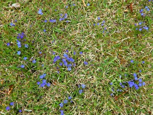 DSCN9913