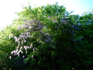 DSCN0029