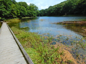 DSCN0055