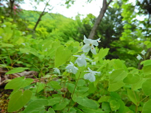 DSCN9730