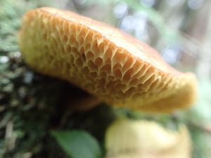 P9140818