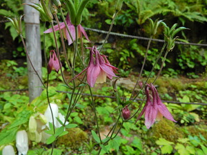 DSCN0202