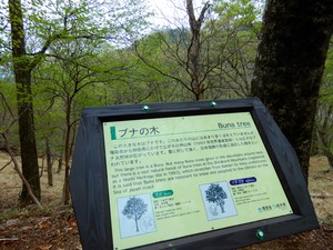 DSCN0454