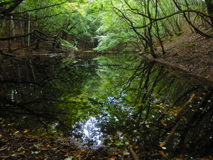 DSCN0958