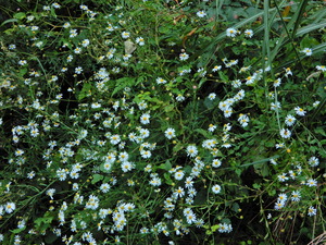 DSCN9519