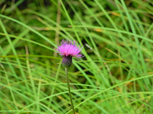 DSCN9764