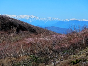 DSCN0090