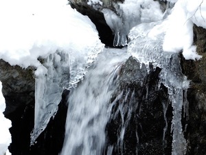 DSCN9727