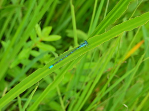 DSCN0102
