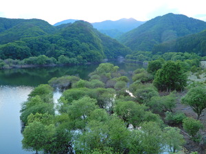 DSCN9666