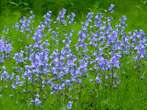DSCN1028