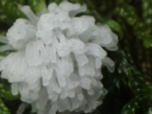 P8224100