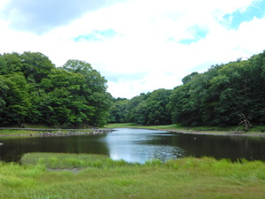 DSCN9962