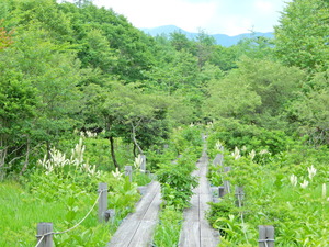 DSCN0220