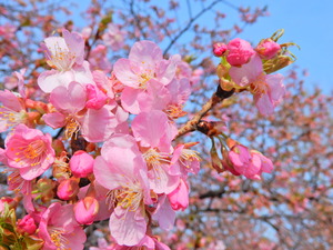 DSCN9430