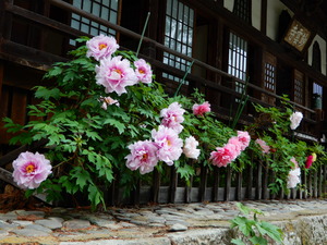DSCN9311