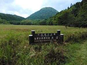 DSCN1031