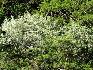 DSCN0439