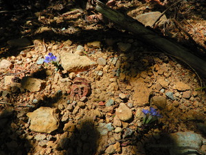 DSCN0258