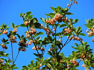 DSCN0170