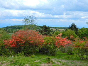 DSCN9920